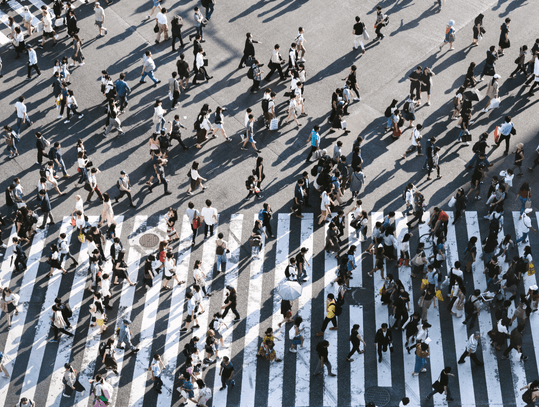 crosswalk people walking display