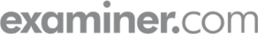 Examiner Logo